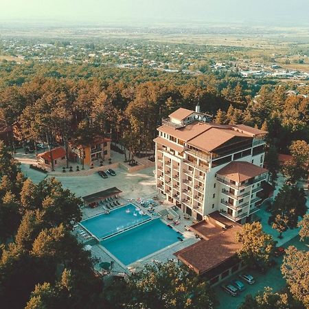 Zuzumbo Resort & Spa Telavi Bagian luar foto