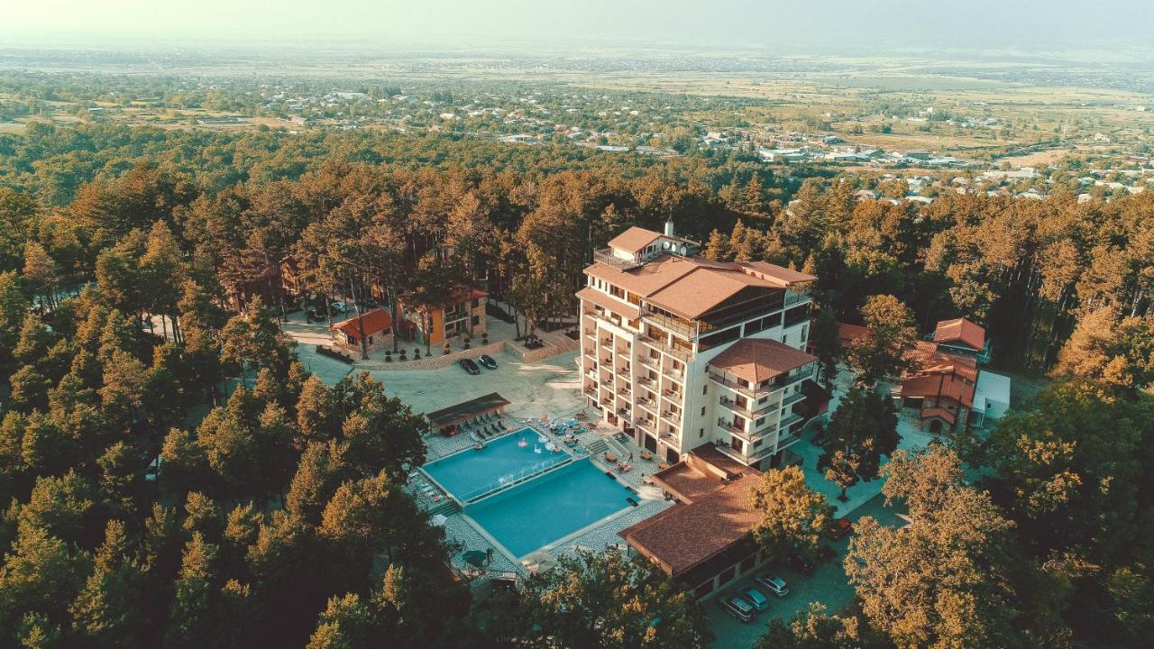 Zuzumbo Resort & Spa Telavi Bagian luar foto