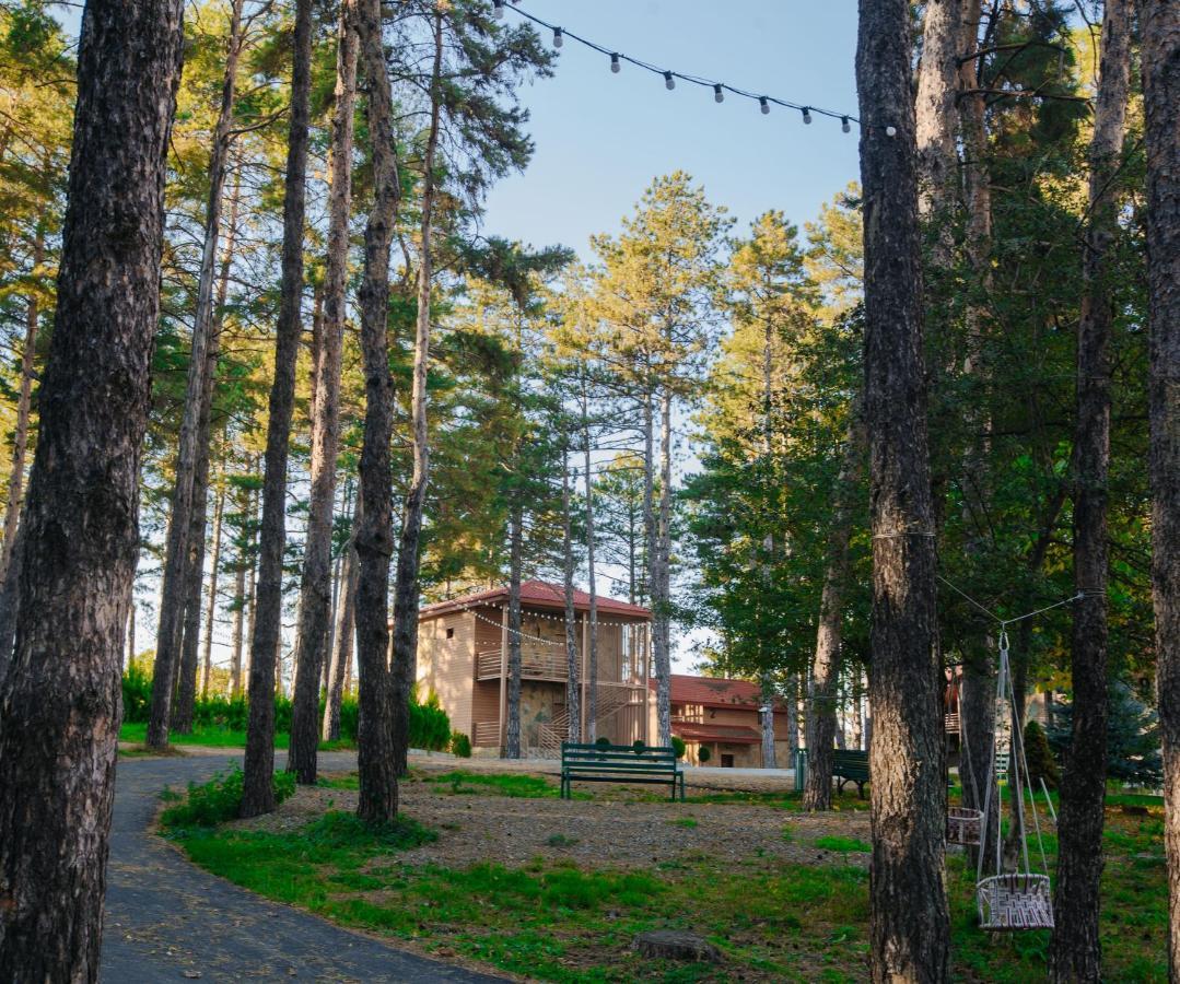Zuzumbo Resort & Spa Telavi Bagian luar foto