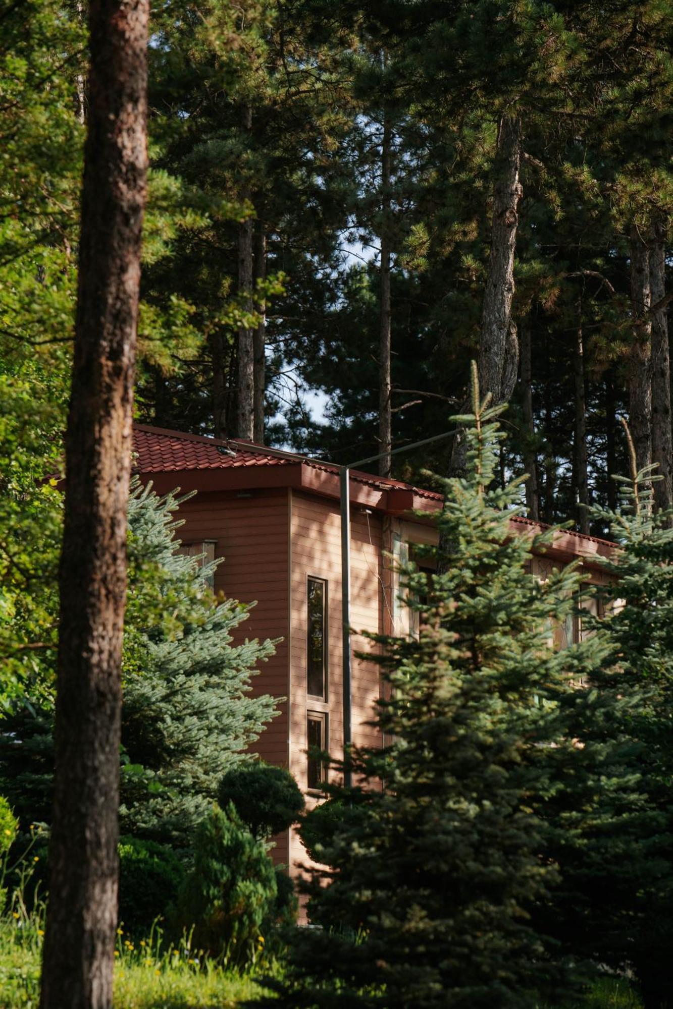 Zuzumbo Resort & Spa Telavi Bagian luar foto
